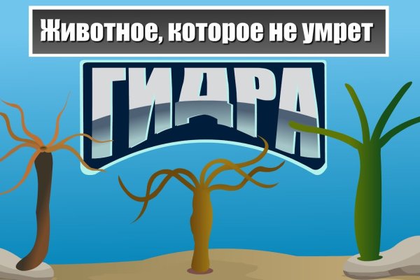 Мега маркетплейс мориарти ссылка